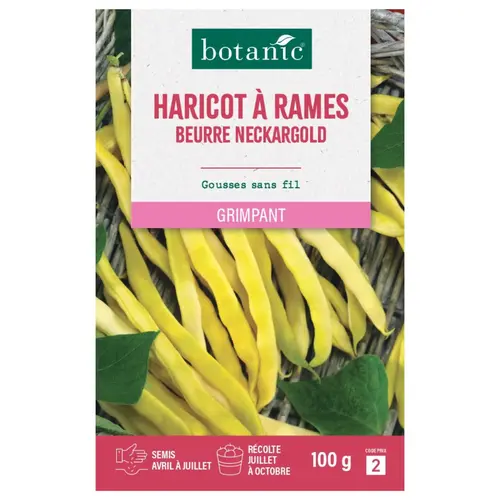 Loisirs jardin：Graines de haricot à rames neckargold botanic® - graines à semer