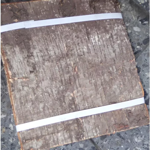 Pratique dehors：Plaques d'écorces de bouleau - Le paquet de 10
