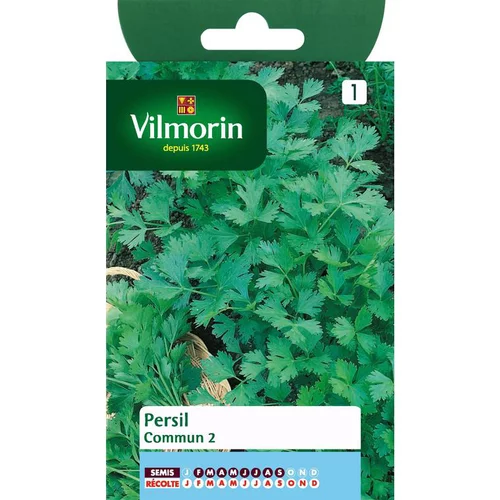 Pour un extérieur bien organisé：Graines de persil commun Vilmorin - graines à semer