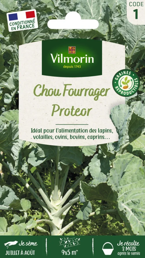 Facile à intégrer au jardin：Chou Fourrager Proteor Vilmorin - graines à semer