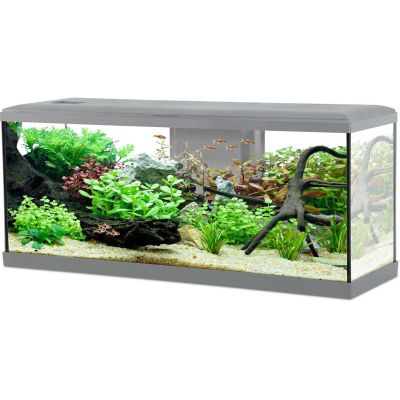 Kit aquarium Tana 120L (Gris)