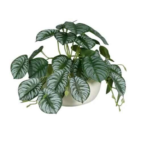 Pour enrichir votre univers jardin:Calathéa vrille artificiel vert en pot céramique blanc - 19 cm