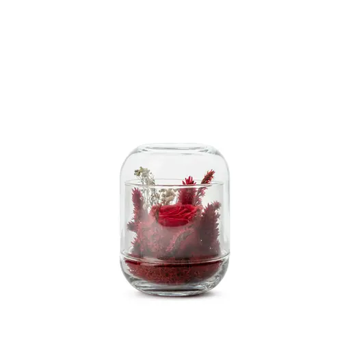 Jardin et équipement：Verrine de végétaux stabilisés coloris rouge Naturalys Capsule - Ø 8 x H 12 cm