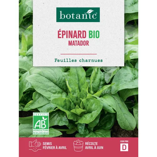 Idéal pour votre jardin：Graines d'épinard matador bio botanic® - graines à semer