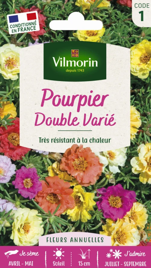 Le petit plus du jardin:Pourpier Double varié Vilmorin - graines à semer