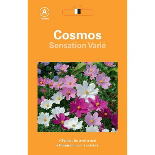Choix extérieur：Graines de Cosmos Sensation varié - graines à semer