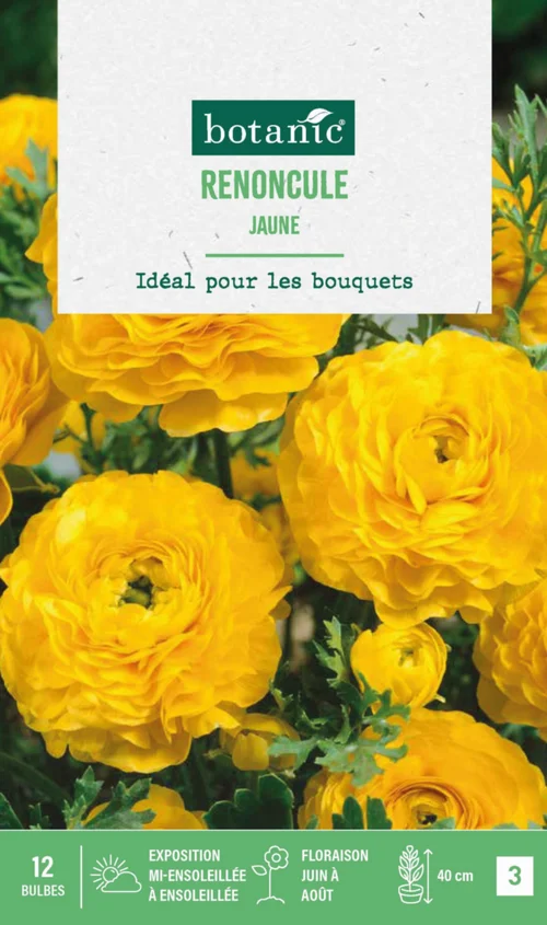 Sélection malin:Renoncule coloris jaune botanic® - 12 bulbes