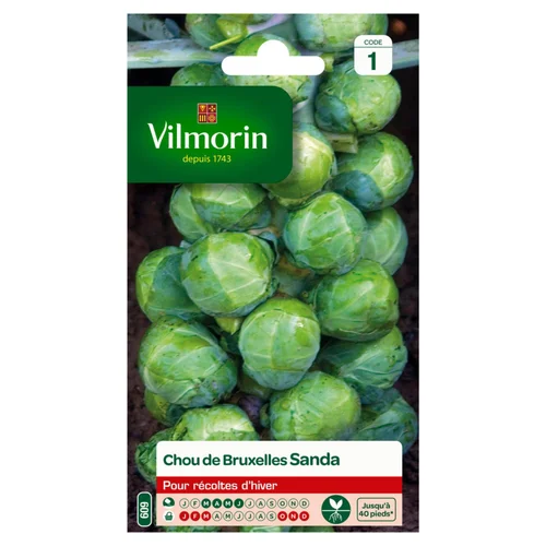 Tendance au jardin:Chou de Bruxelles Sanda Vilmorin - graines à semer