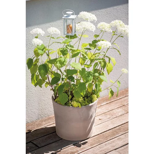 Esprit extérieur：Vase Cilindrico Gris grafite en terre cuite D20 x H17