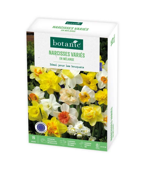 Bien pensé pour le jardin：Narcisse en mélange botanic® - 15 bulbes