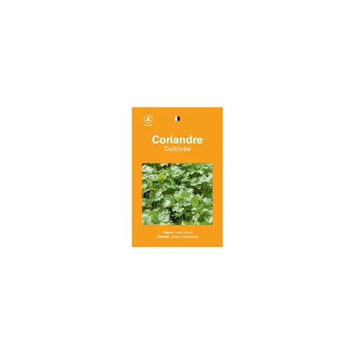 Accessoire pour le jardin：Graines de coraindre cultivée sélection premier prix - graines à semer