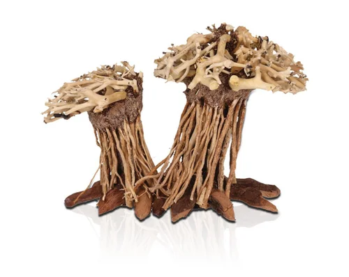 Nature jardin:Décor pour aquarium coloris marron Aquavie Three Forêt Double PM - 12 x 12 x 15 cm