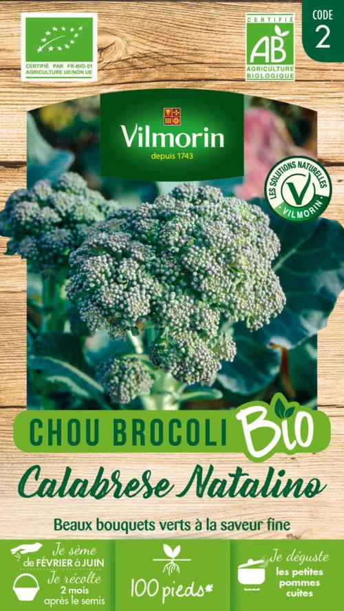 Pour aménager vos extérieurs:Chou Brocoli Calabrese Natalino Bio Vilmorin - graines à semer