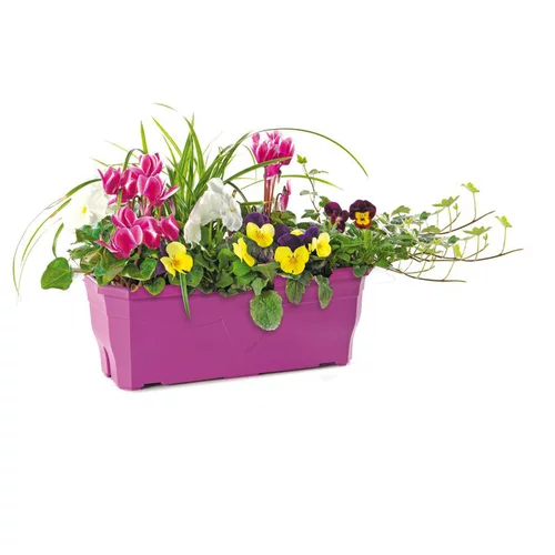 Pour enrichir votre univers jardin:Jardinière d'automne - La jardinière de 50 cm