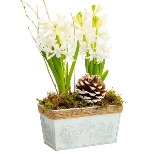 Jardin maison：Jardinette de 2 jacinthes en zinc blanc