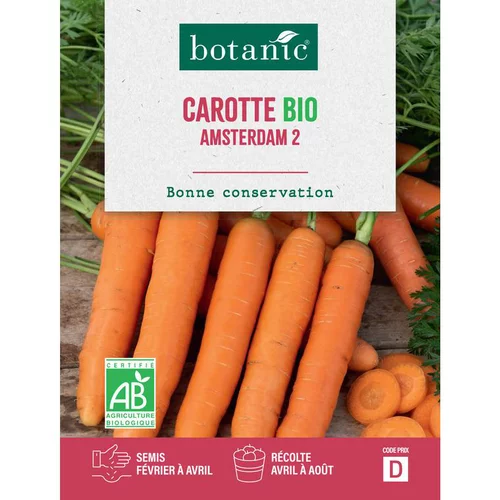 Pour vos envies d’extérieur：Graines de carotte Amsterdam 2 bio botanic® - graines à semer