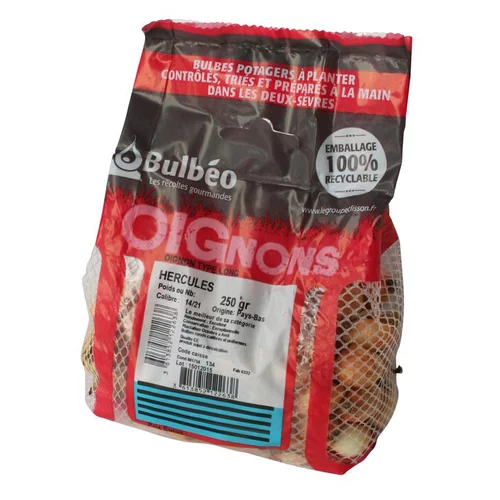Jardin & idées:Bulbes d’oignons long hercules 250 g