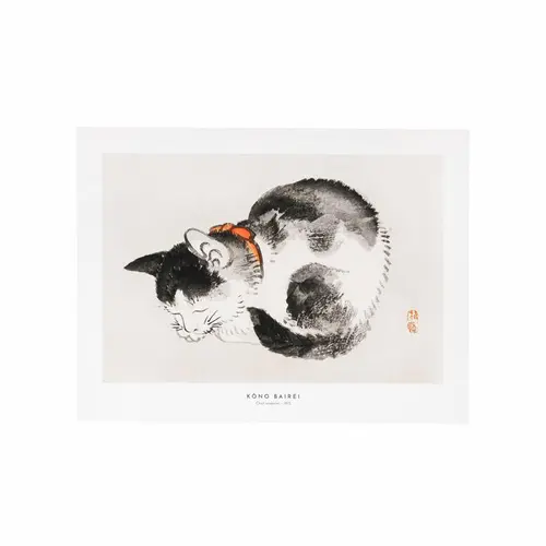 Votre allié au jardin：Affiche chat endormi - 30 x 40 cm