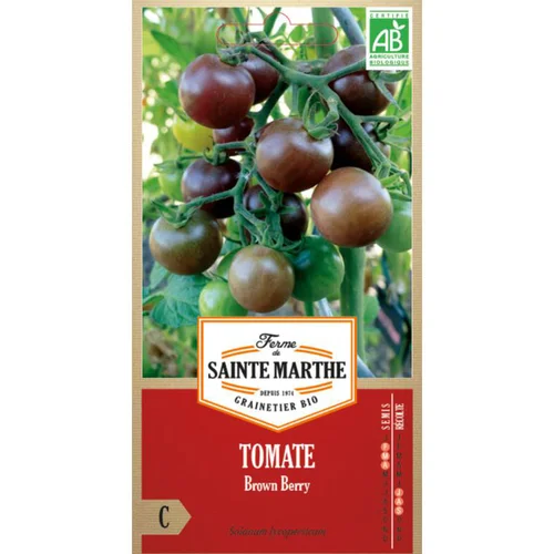 Qualité pour le jardin：Graines de Tomate Brown Berry bio Ferme de Sainte Marthe - graines à semer