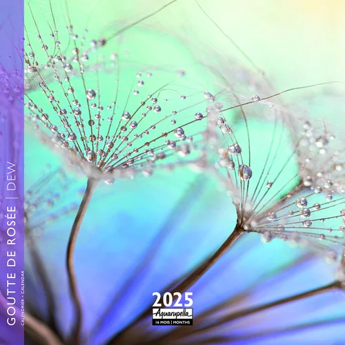 Choix pour le jardin：Calendrier 2025 goutte de rosée coloris multicolore Aquarupella - 16,5 x 16,5 cm