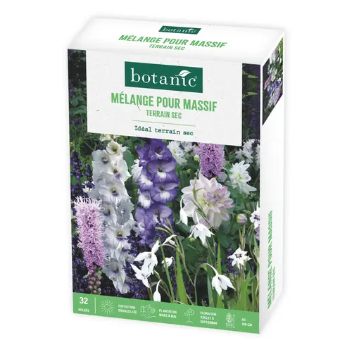 Essentiel extérieur：Boite de bulbes de fleurs en mélange pour massif terrain sec botanic® – 32 bulbes