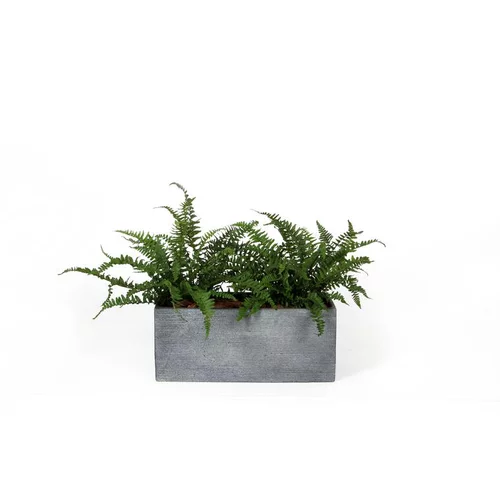 Bien pratique à l’extérieur：Bac rectangle Stream S/3 anthracite H.23 cm