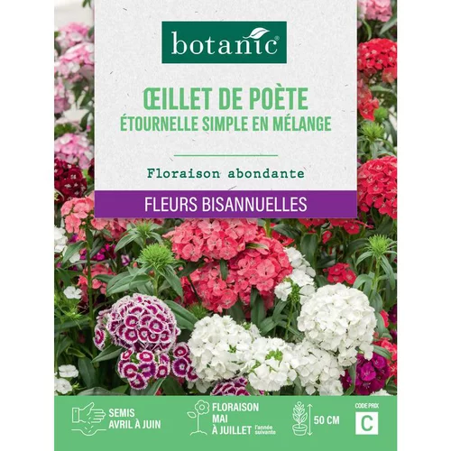 Idéal pour votre jardin：Graines de fleurs d'Œillet de poète étournelle simple en mélange botanic®