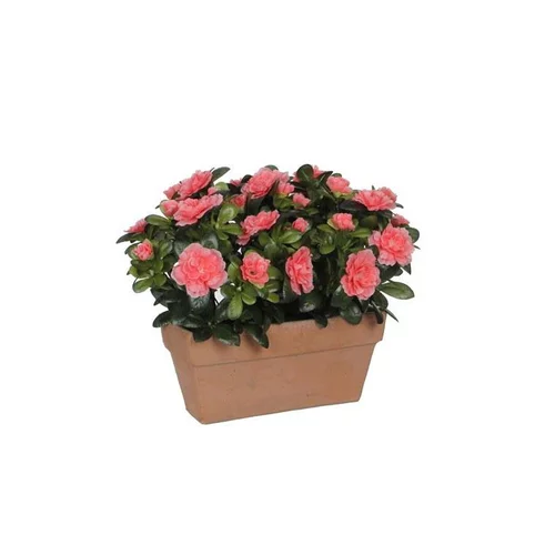 Jardin à équiper:Azalea pêche artificielle en jardinière Terra 27,5x13x33 cm