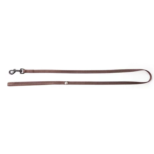 Solution pratique：Laisse réfléchissante pour chat Flash marron - 100 cm
