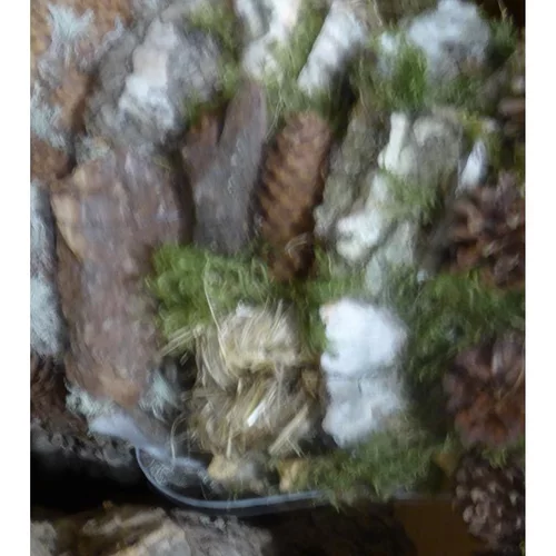 Pour un extérieur plus agréable:Couronne de bouleau et de mousse.