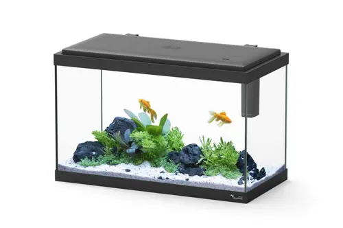 Conçu pour vos extérieurs：Aquarium d'eau froide et d'eau douce coloris noir Aquatlantis Explorer Vienna 34 L - 35 x 50 x 25 cm