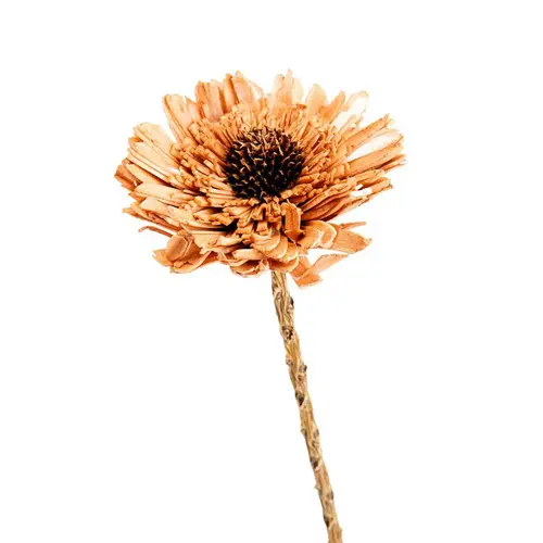 Pour un extérieur plus agréable:Fleur en bois de Sola et coco forme Œillet - Ø 8 x H 53 cm