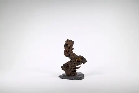 Les essentiels du jardin:Décoration pour aquarium Aquadeco Congo Tree petit modèle - 20 cm