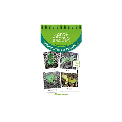 Une idée maline pour le jardin：Le livre " Reconnaître les plantules " aux Éditions Terre vivante