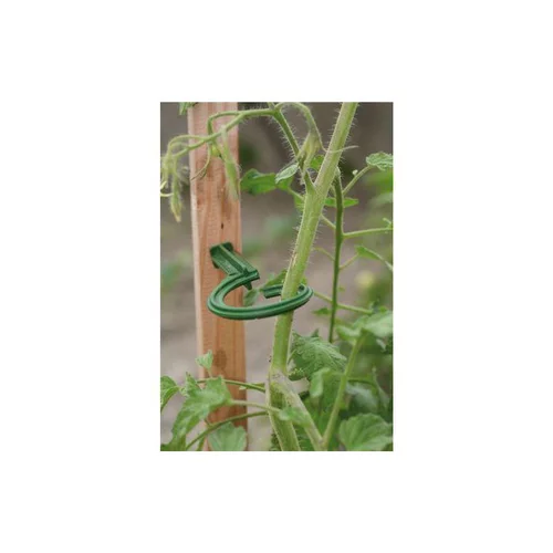 Pour organiser le jardin:Lot de 6 attaches pour tuteur – couleur vert