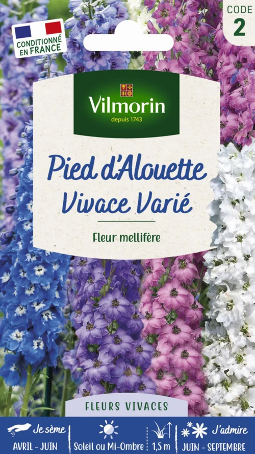 Jardin choix:Graines de Pied d’Alouette vivace varié Vilmorin - graines à semer