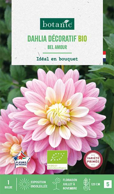 Jardin à découvrir:Bulbe de fleurs Dahlia décoratif Bel Amour bio botanic® - 1 bulbe