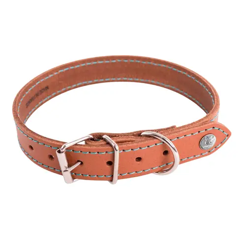 L’essentiel pour le jardin:Collier pour chien en cuir coloris cognac turquoise Martin Sellier Flash - taille 18/35