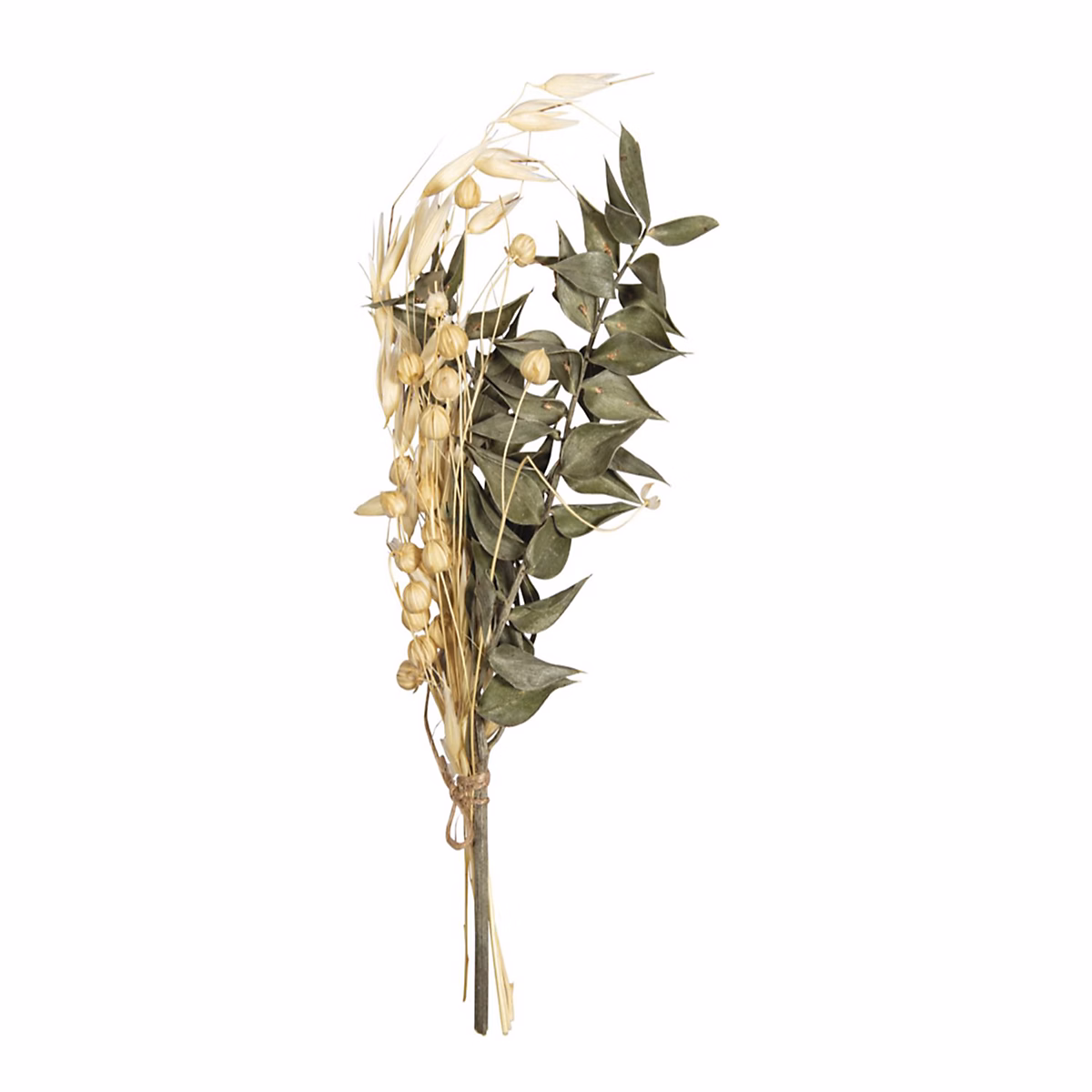 Plantes – Bouquet de fleurs séchées naturelles