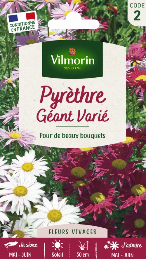 Extérieur nature：Graines de Pyrèthre géant varié Vilmorin - graines à semer