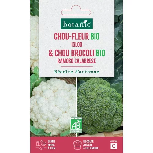Style jardin：Mélange de graines chou-fleur igloo bio et de chou brocoli ramoso calabrese bio botanic® - graines à semer