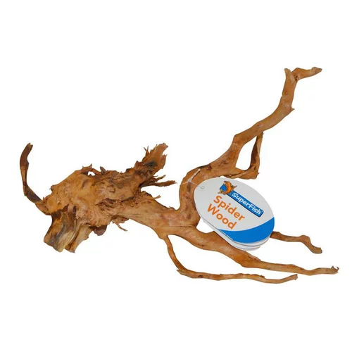 Jardin au naturel:Racine-araignée de taille small 20 à 30 cm