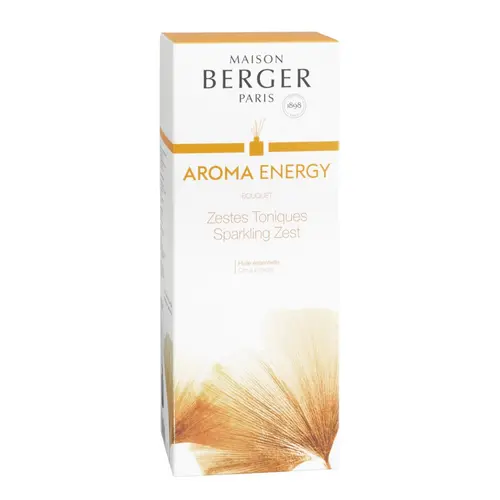 Facile jardin：Bouquet parfumé Maison Berger Aroma parfum Energy - 100 ml