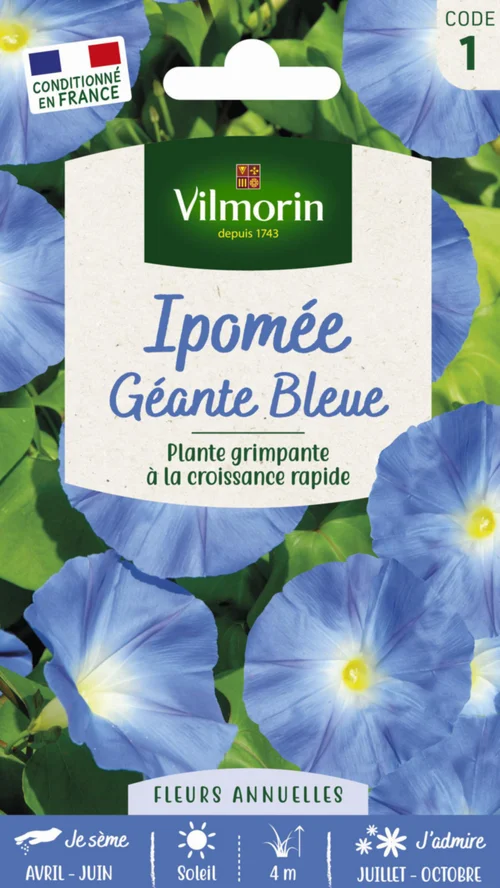 Idée jardin：Graines de Ipomée Géante Bleue Vilmorin - graines à semer