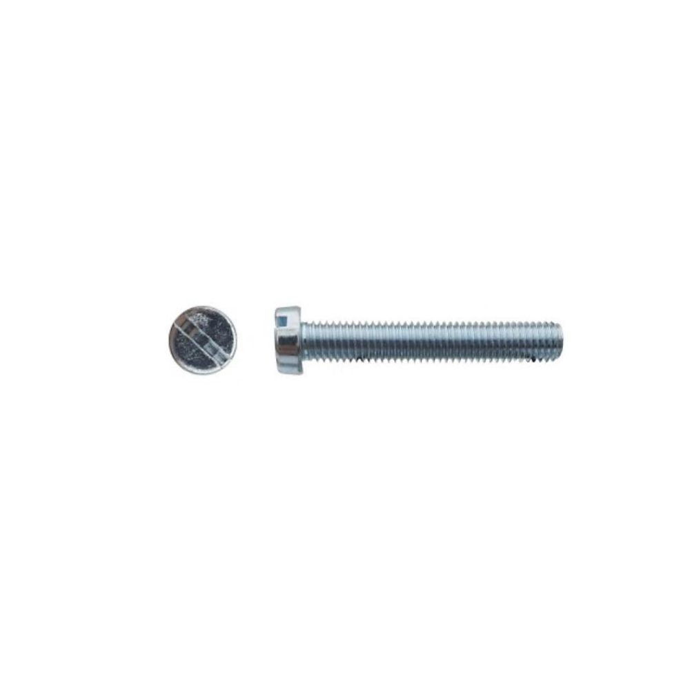 500 Vis Métaux Tête Cylindrique Fendue 2.5 × 6 mm | DIN 84 – Zingué blanc – D – Work