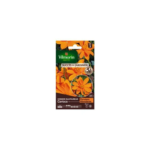 Qualité pour le jardin：Graines de Cosmos Sulfureux Carioca orange Vilmorin graines d’exception - graines à semer
