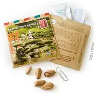 Pour vos moments au jardin：Graines de Bonsaï Pinus pinea coloris multicolore Vilmorin jardin - 13 x 13 x 4 cm