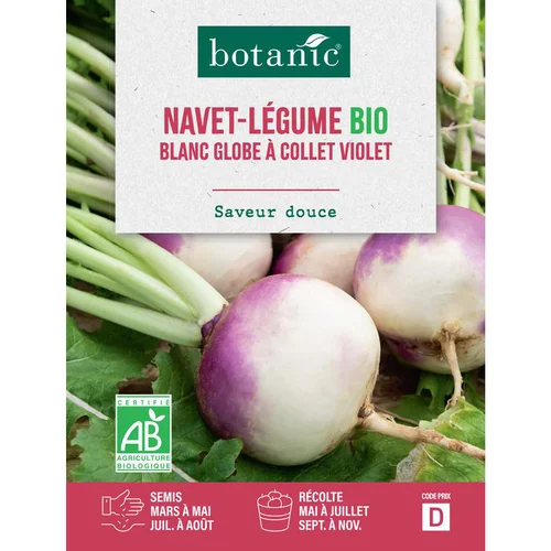 Univers extérieur：Graines de navet blanc globe à collet violet bio botanic® - graines à semer