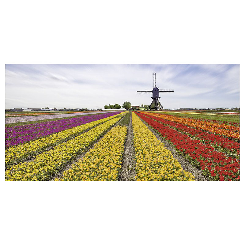 Brise vue imprimé paysage TULIPES ARC EN CIEL – H.1.5 x L.3 m, 100% occultant, Made in France par Scenolia + kit de fixation offert